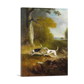 Two Dogs Hunting (Type: Standard Framed Canvas Print, size: 12" x 8" / 30cm x 20cm (approx))