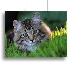 Hunting in the grass Canvas Print or Poster (Type: Standard Framed Canvas Print, size: 28" x 20" / 70cm x 50cm (approx))